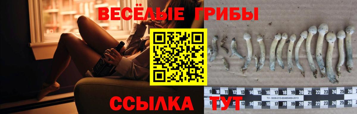 Галлюциногенные грибы Psilocybine cubensis  Вход с VPN  Тихвин 